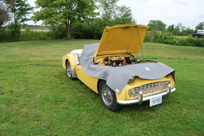 TR3-3.jpg