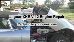 Jaguar Questions